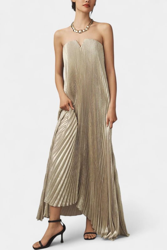 Andreia Pleated A-Line Strapless Maxi Dress