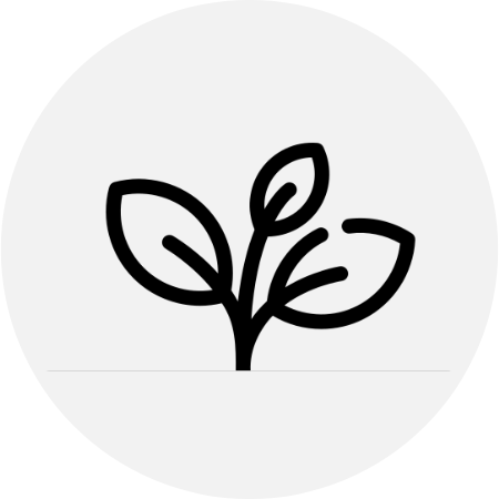 files/Celine_Lys-Sustainble_1cd09278-f3b5-4034-b4b6-b86d386cf967.png